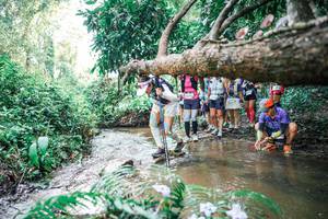 BIB: 
                            <button type="button" onclick="openModal(25474975)" class="btn btn-primary btn-sm float-right btn-popup" data-toggle="modal" data-target=".modal-high-quality">
                        <i class="fas fa-shopping-cart"></i> Add to Cart
                    </button>
                                            <button type="button" onclick="isThisMe(25474975, true)" class="btn btn-success btn-sm float-right btn-popup btn-isme hidden" data-toggle="tooltip" data-placement="bottom" title="นี่คือรูปของคุณใช่ไหม คลิกที่นี่เพื่อเอาเข้าอัลบั้ม">
                        <i class="fas fa-plus"></i> Add to album
                    </button>
                    <button type="button" onclick="isThisMe(25474975, false)" class="btn btn-warning btn-sm float-right btn-popup btn-isnotme hidden">
                        <i class="fas fa-ban"></i> Remove from album
                    </button>